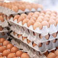Nie będzie brązowych jajek w sklepach? Jajka z Polski zagrożone