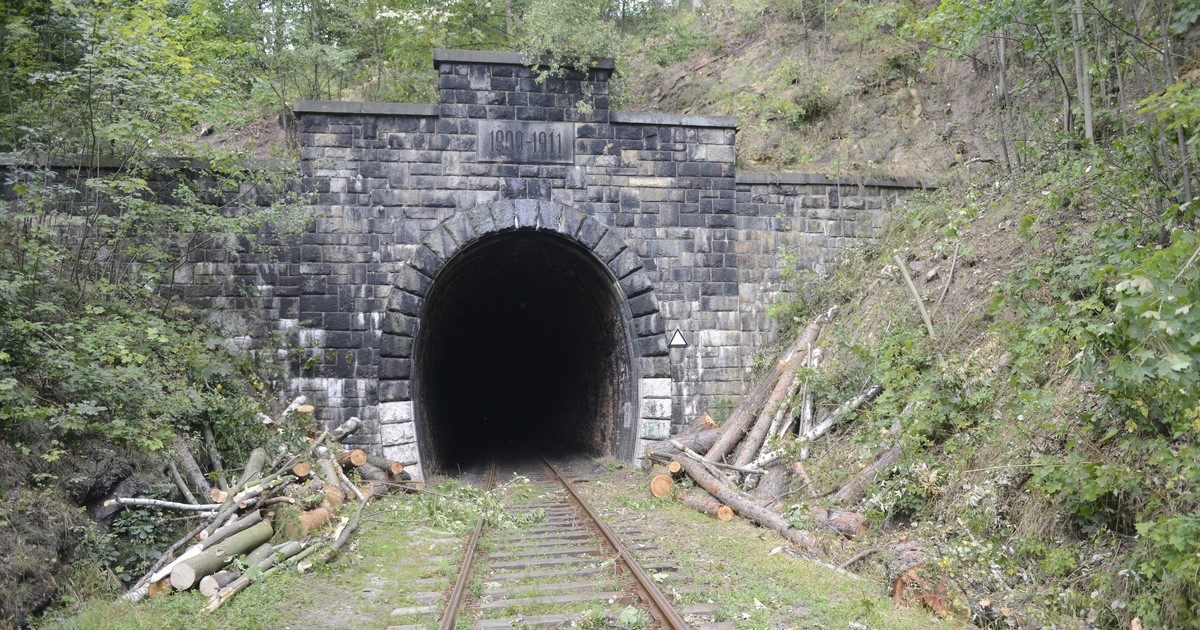 Co dalej ze złotym pociągiem? Dla nadleśniczego sprawa jest jasna