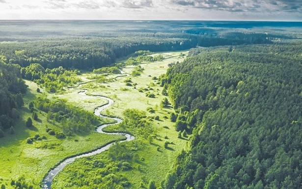 Krynica Forum 2023: bezpieczeństwo klimatyczne Polski