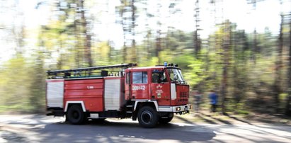 Przerażający finał grzybobrania. Makabryczne odkrycie na torfowisku