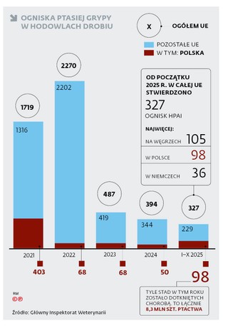Ogniska ptasiej grypy w hodowlach drobiu
