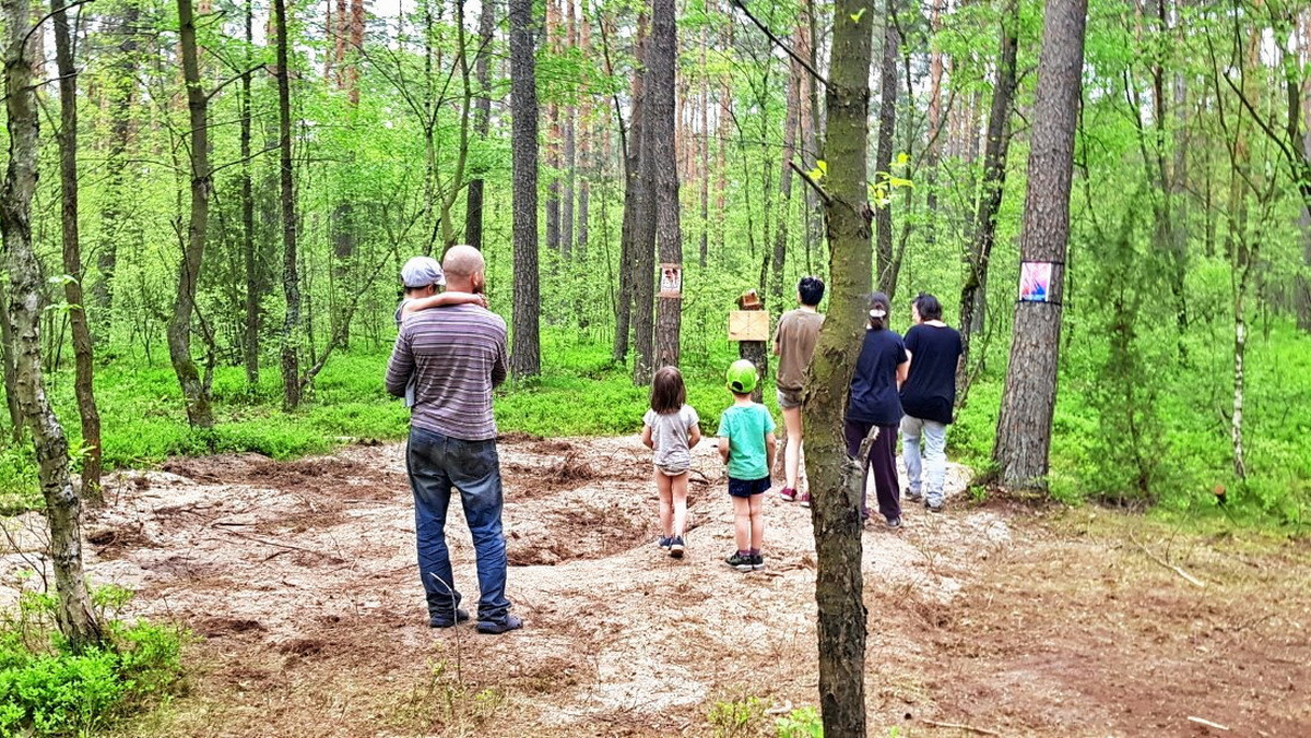 W lesie pod Bydgoszczą są już tylko turyści. "Wydłubują fragmenty rakiety"