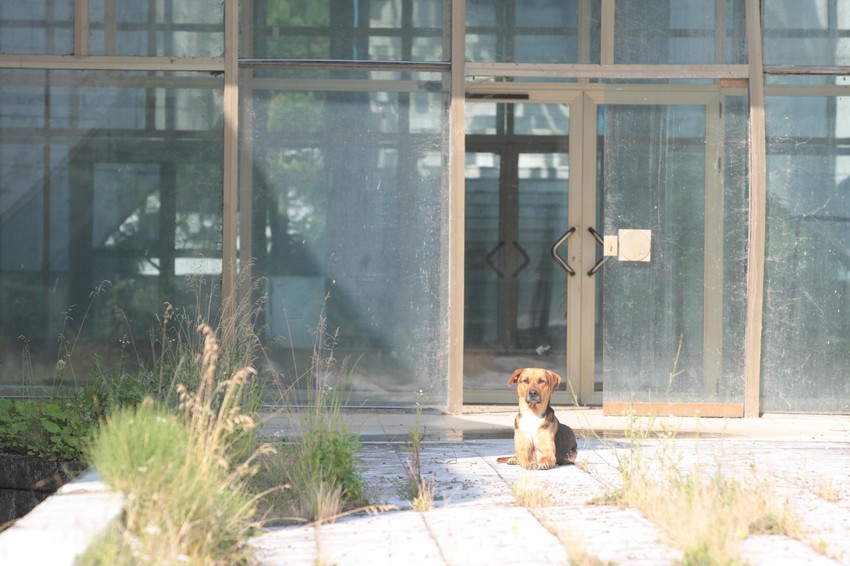 Objekti Kuršumlijske Banje su van funkcije od 2006. godine