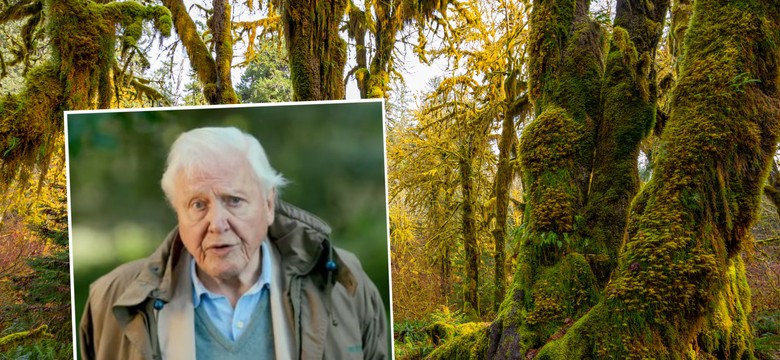 David Attenborough zdradza sekret świetnej formy. Wykluczył z diety te produkty