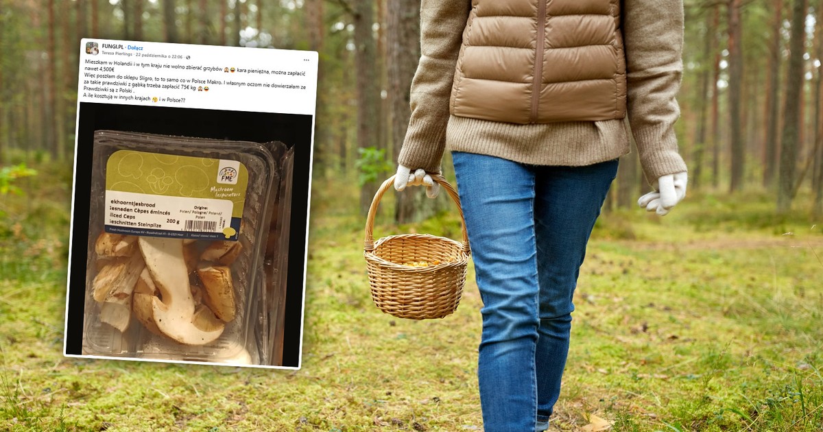 Przetarła oczy ze zdumienia i chwyciła za telefon, widząc cenę polskich grzybów. "Nie dowierzałam"