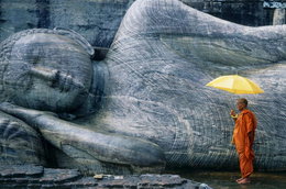 Dziesięć powodów, dla których warto polecieć na Sri Lankę