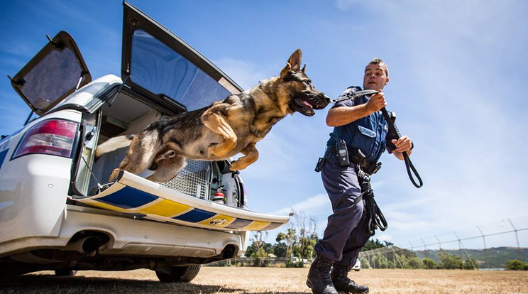 Természetesen speciális kutyás egységek is dolgoznak a rendőrségnél /Fotó: Facebook - @NZPolice