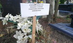 Ponure kartki na cmentarzach. To się dzieje w całej Polsce
