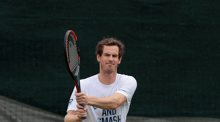 Andy Murray már negyeddöntős / Fotó: AFP