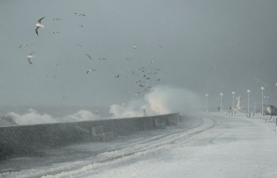 Gdynia