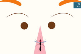 Oto pięć rzeczy, które sprawiają, że komary gryzą cię częściej niż innych
