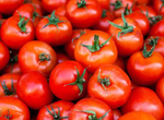 3 ways to store tomatoes so they last longer