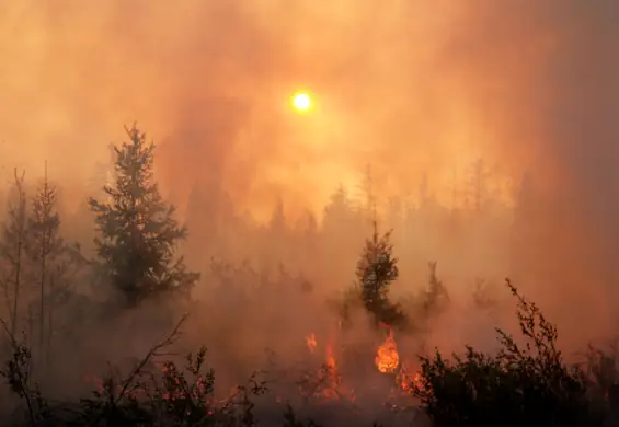 Google zablokuje reklamy w treściach negujących zmiany klimatu