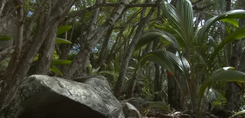 Brendon Grimšou obnovio ostrvo u oblasti Sejšeli