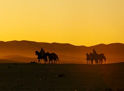 "Templariusze. Miłość i krew"
