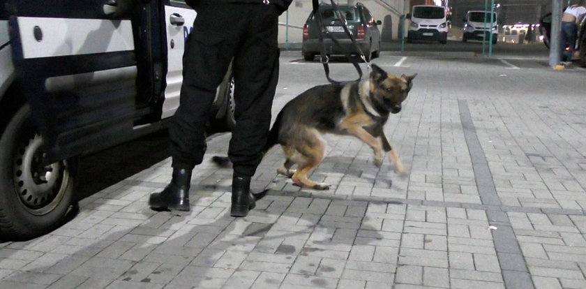 Niezwykły pies pomaga policji