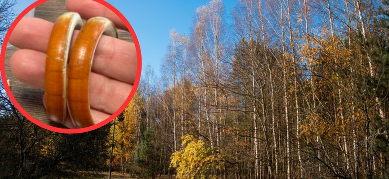 Leśnicy zadali zagadkę. Pokazali zdjęcie. Mało kto odgadł, co przedstawia