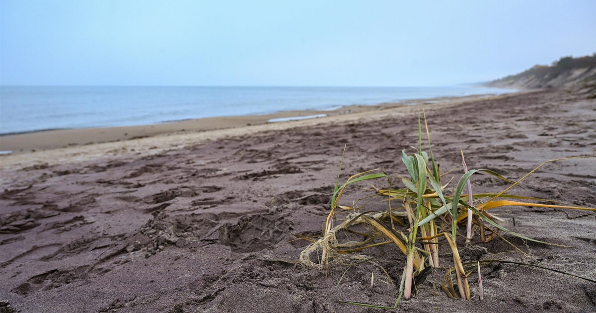 Widok na plaży w Mielnie przyciąga tłumy. Wszyscy chcą to zobaczyć