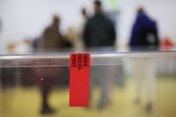 Wybory prezydenckie 2025: Tak dużej frekwencji nie było od 35 lat. W I turze pobiliśmy rekord