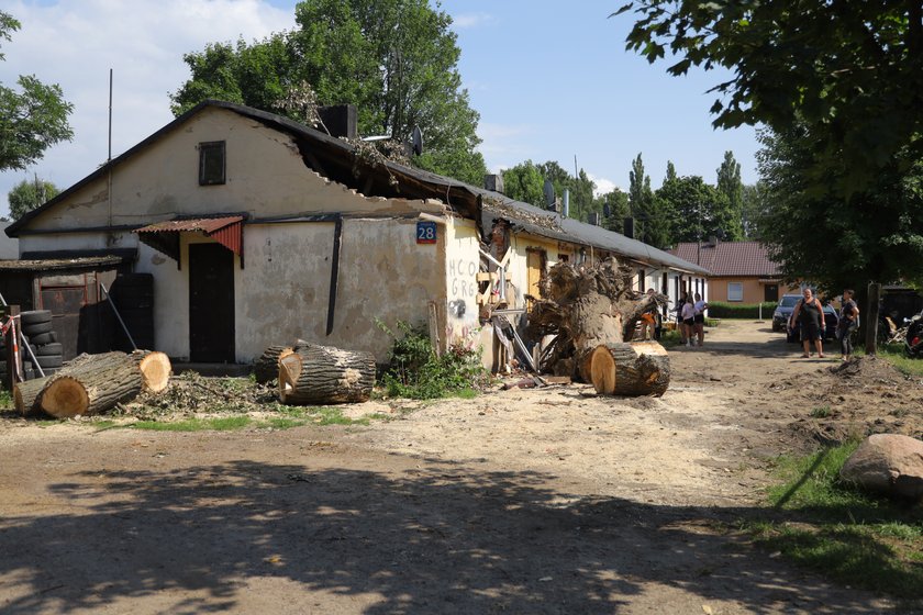 Dramat rodziny z ulicy Przylesie w Łodzi. Drzewo przygniotło dom w czasie nawałnicy