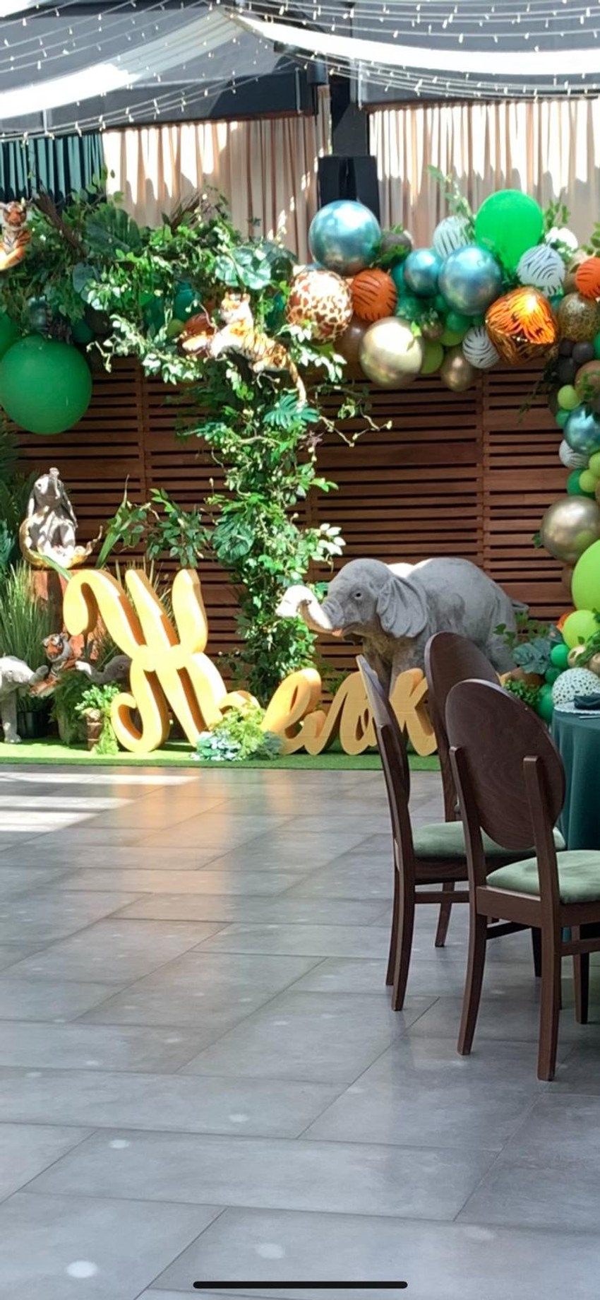 Željko Ražnatović rođendan