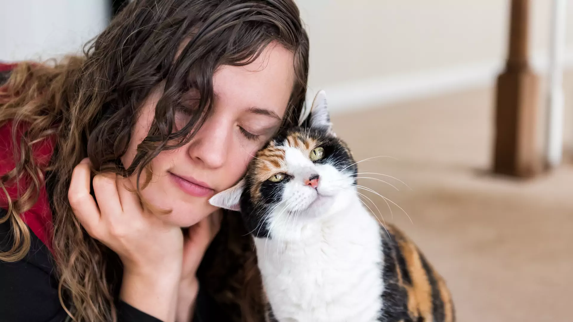 Siedem sposobów, w jakie twój kot mówi "kocham cię"