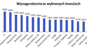 Wynagrodzenia w wybranych branżach