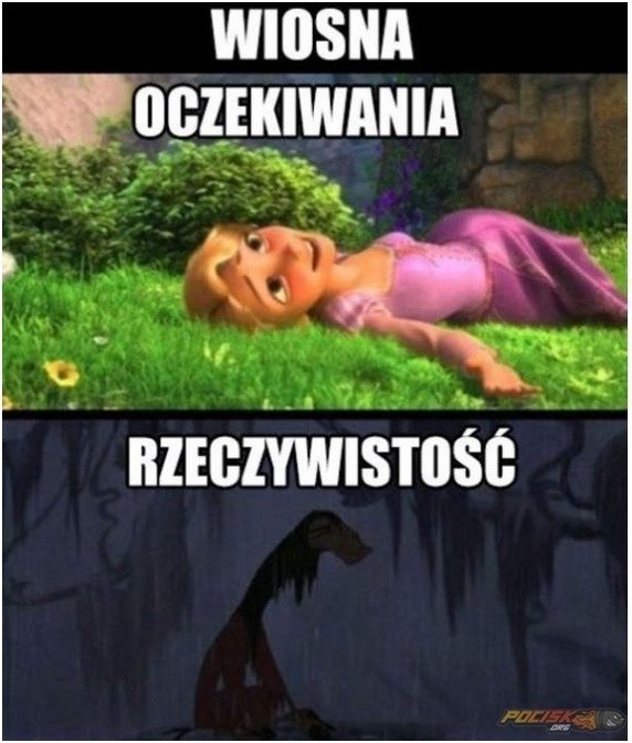 Najlepsze memy o wiośnie