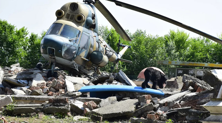 A mentőkutyás egyesület
jászberényi kiképzőközpontjában „landoltak” a gépek / Fotó: police.hu