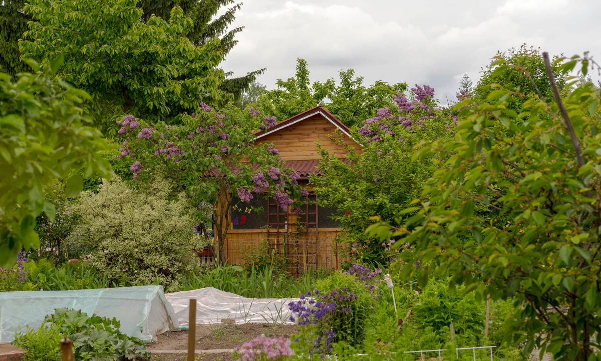 Działkowcy biją na alarm. Rządowy projekt doprowadzi do likwidacji ROD?