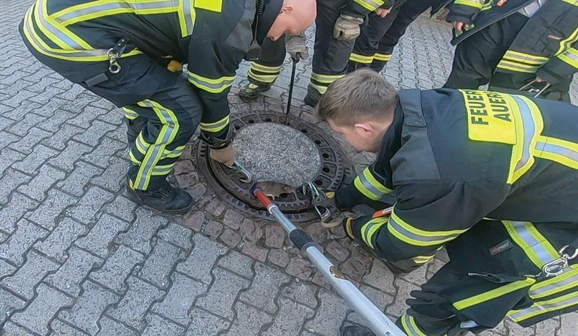 Oto szczurek zapchajdziurek