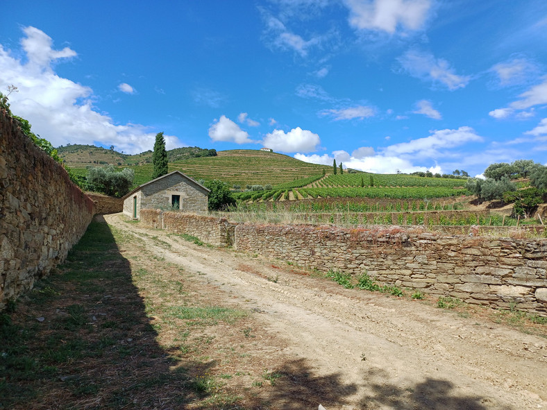 Winnica Quinta da Roêda w Portugalii