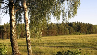 sejm uchwalił przepisy przedłużające zakaz sprzedaży państwowej ziemi