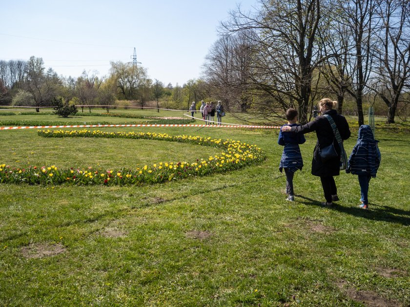 Otworzyli Ogród Botaniczny na jeden dzień