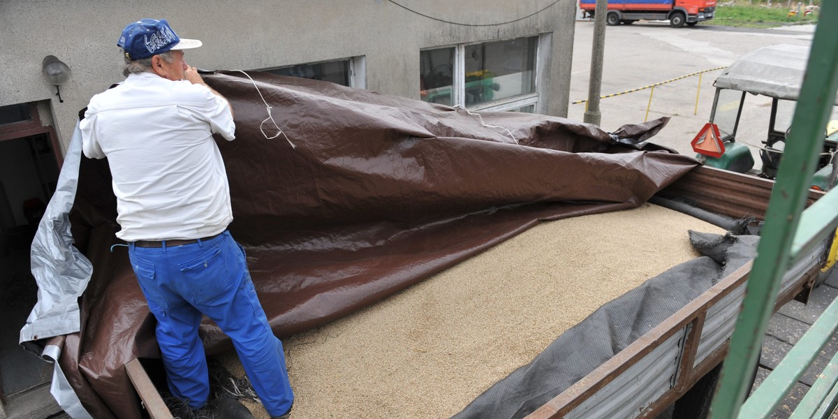 Rozporządzenie zakłada, że do 30 czerwca br. jest zakaz przywozu z Ukrainy m.in. zboża, cukru, jaj.