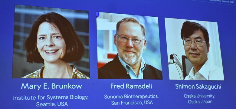 Nobel z medycyny przyznany. Laureatami trzej naukowcy z USA i Japonii
