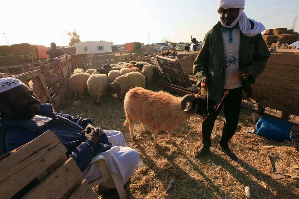 Libia przed świętem Eid Al Adha