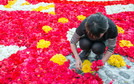 BELGIUM GIANT FLOWER CARPET (20th giant flower carpet in Brussels)