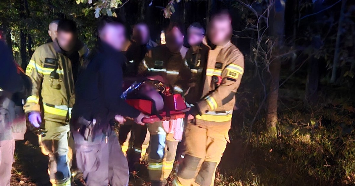 Zaczęło się o północy. Grzybiarza wyniesiono na noszach