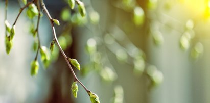 Wiosna już za chwilę, ale temperatury nas nie rozpieszczają. Kiedy w końcu będzie ciepło?