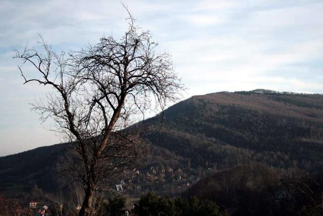 Galeria Polska - Beskid Makowski, obrazek 5