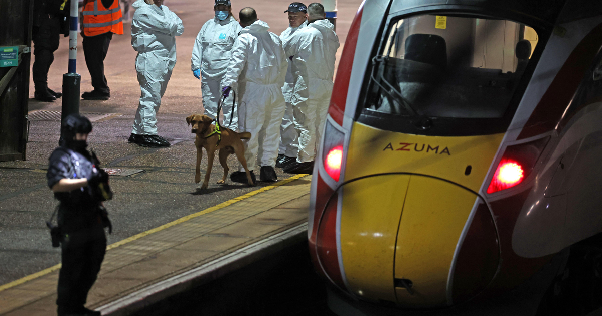 Man charged with 10 attempted murders after London train stabbing | The ...