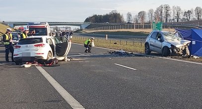 Potworna tragedia na S7. Totalna bezmyślność kierowcy. Nie żyją dwie osoby