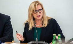 Gosiewska szydzi z żeńskich końcówek: Posłanka to chyba jakaś kanapa