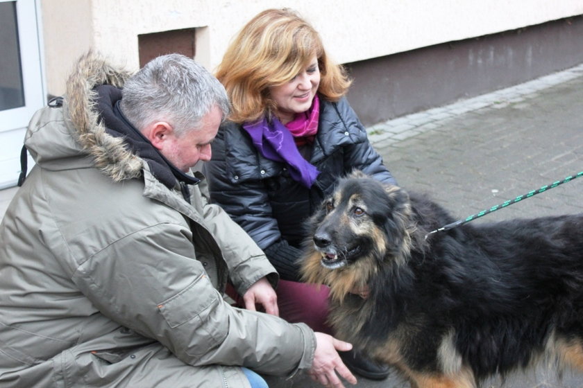 Psy ze schroniska znalazły dom w ZOO