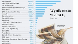 dywidendy z krajowych banków wyniosą w tym roku niemal 25 mld zł