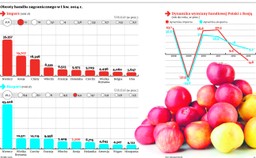 Rosyjskie sankcje zagrożą polskiej gospodarce: Kolejne branże w polu rażenia moskiewskiego embarga