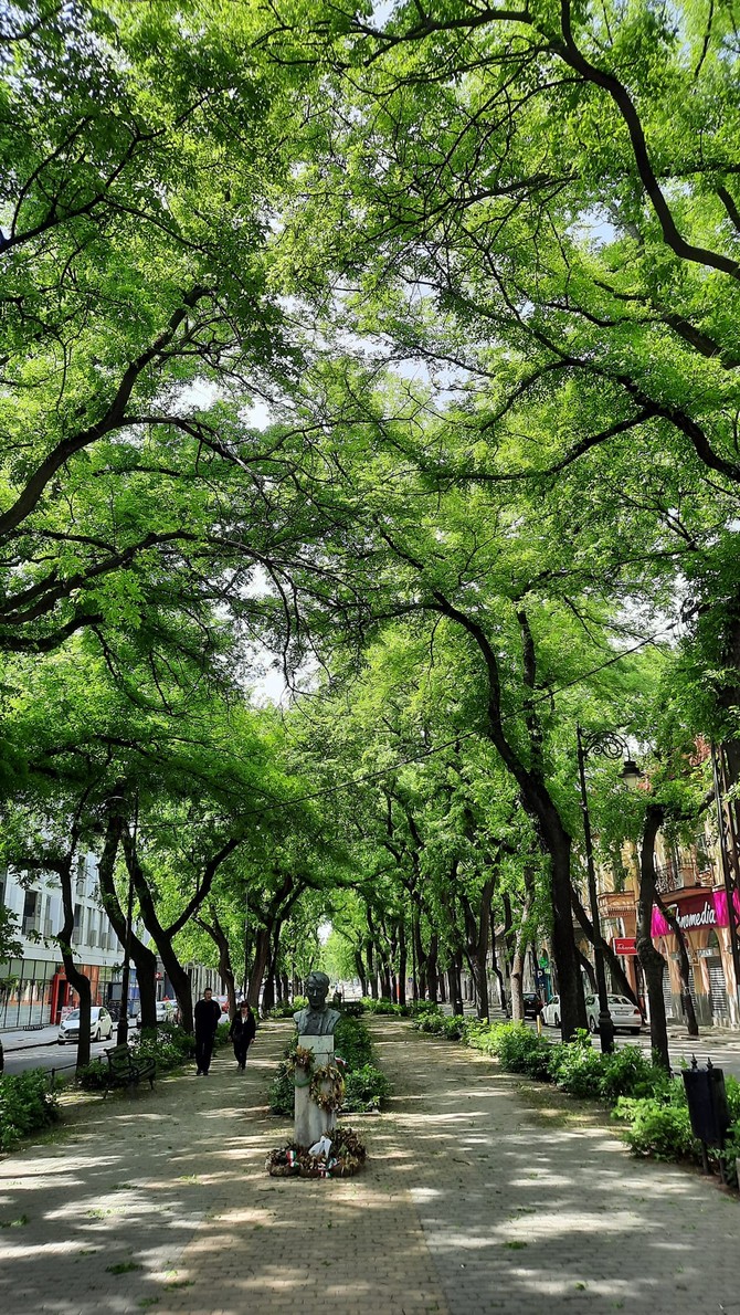 Subotica