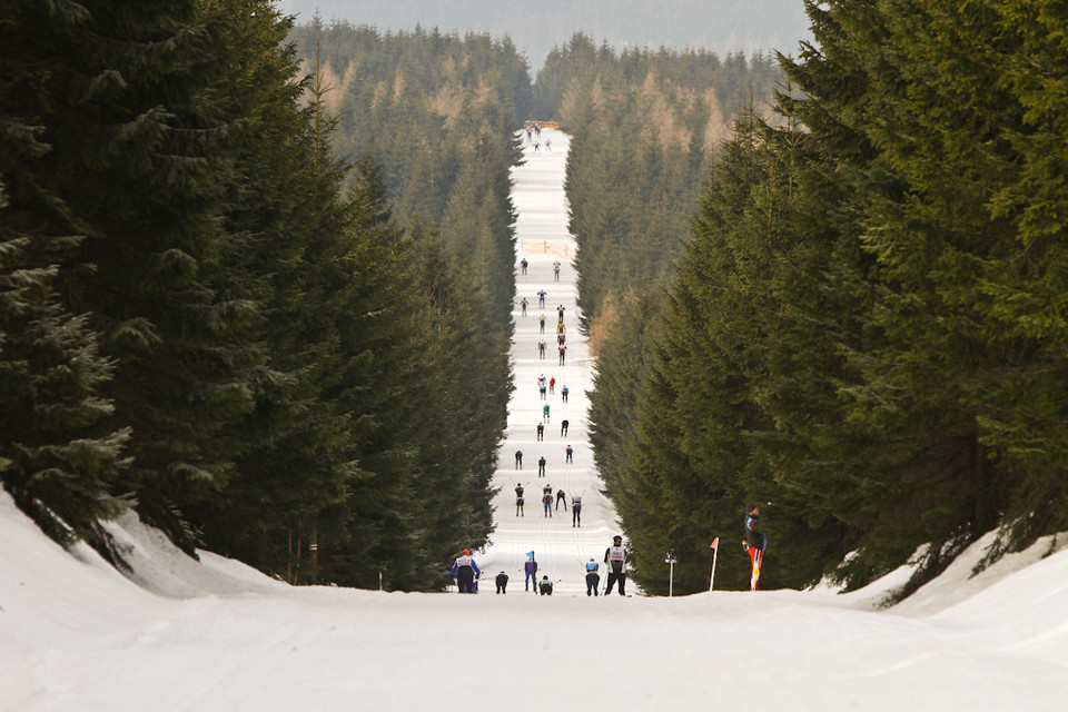 Bieg Piastów 2011