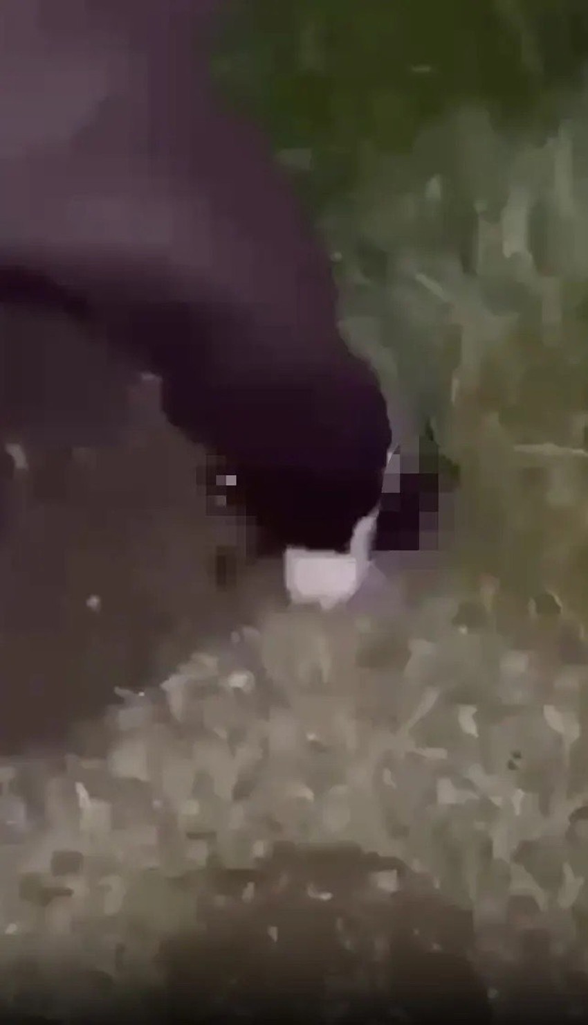 Scene iz uznemirujućeg snimka 